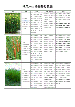 常用水生植物种类汇总.doc