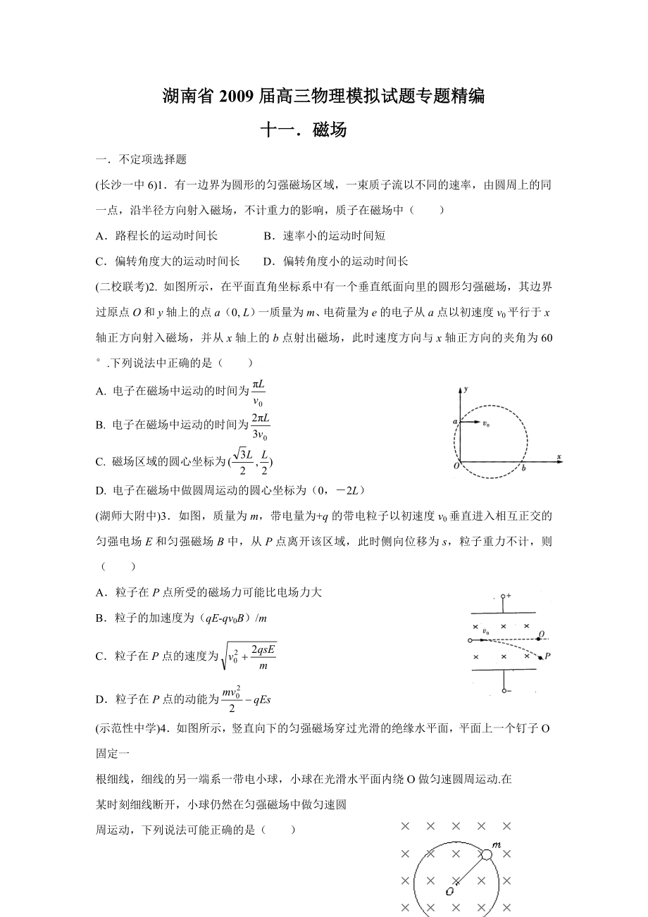 湖南省高三物理模拟试题精编：磁场.doc_第1页