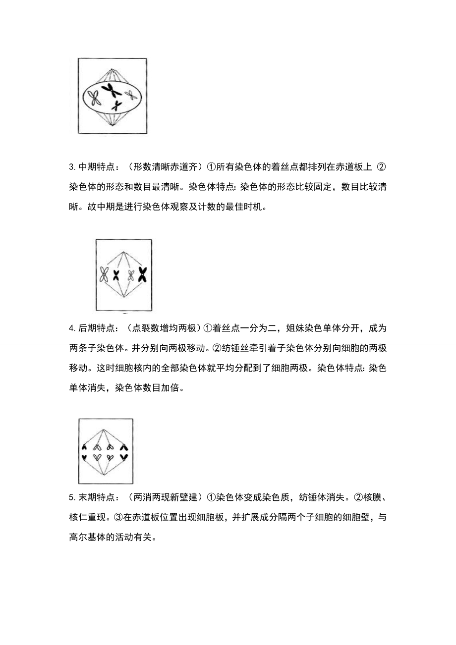 有丝分裂知识点.doc_第2页