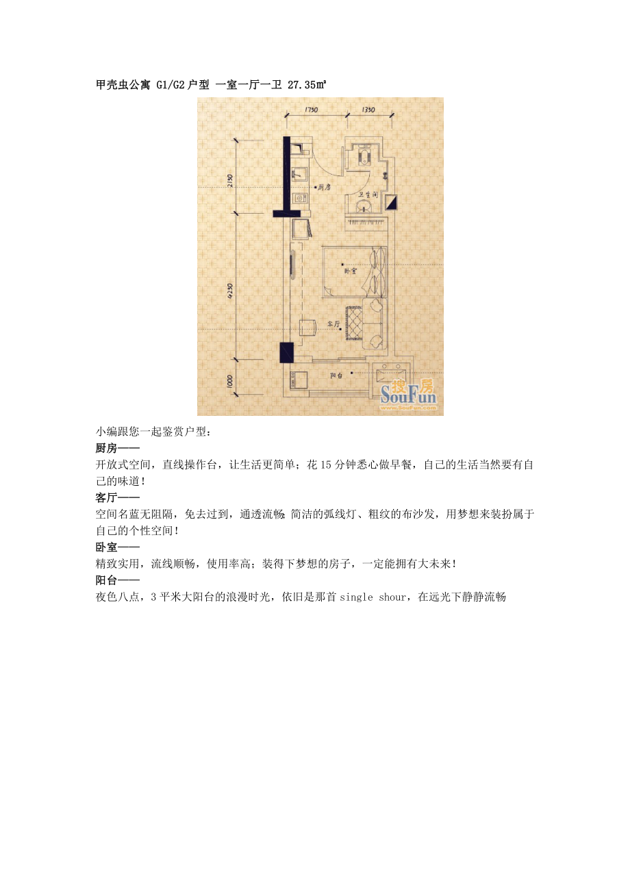 某新颖公寓户型.doc_第2页