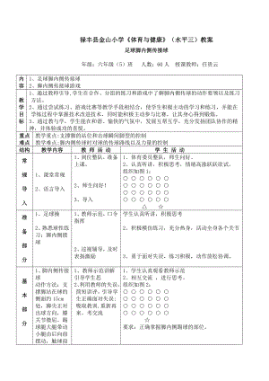 小学体育足球脚内侧传接球教案.doc