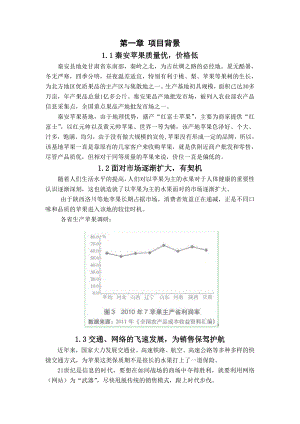 秦安苹果策划书.doc