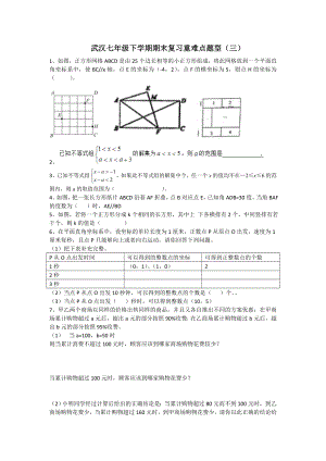 武汉七年级下学数学期期末复习重难点题型(三).doc