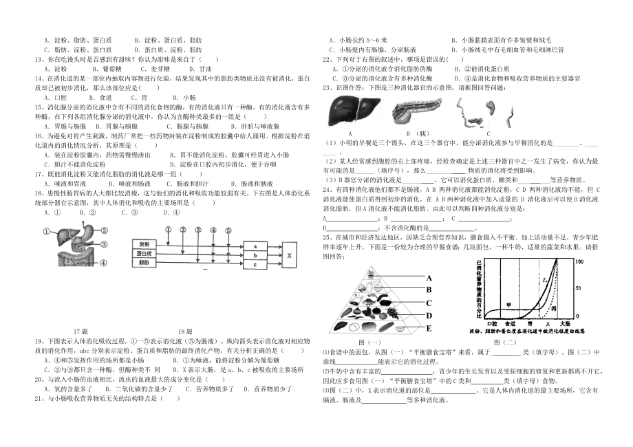 新人教版初中生物七级下册第二章《人体的营养》复习学案.doc_第2页