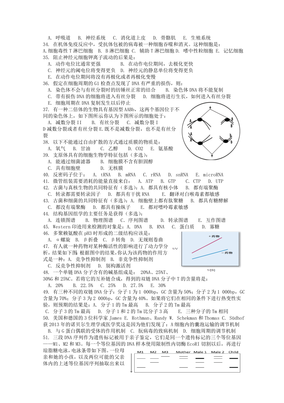 江苏省中学生生物学奥林匹克初赛理论试题(word).doc_第3页