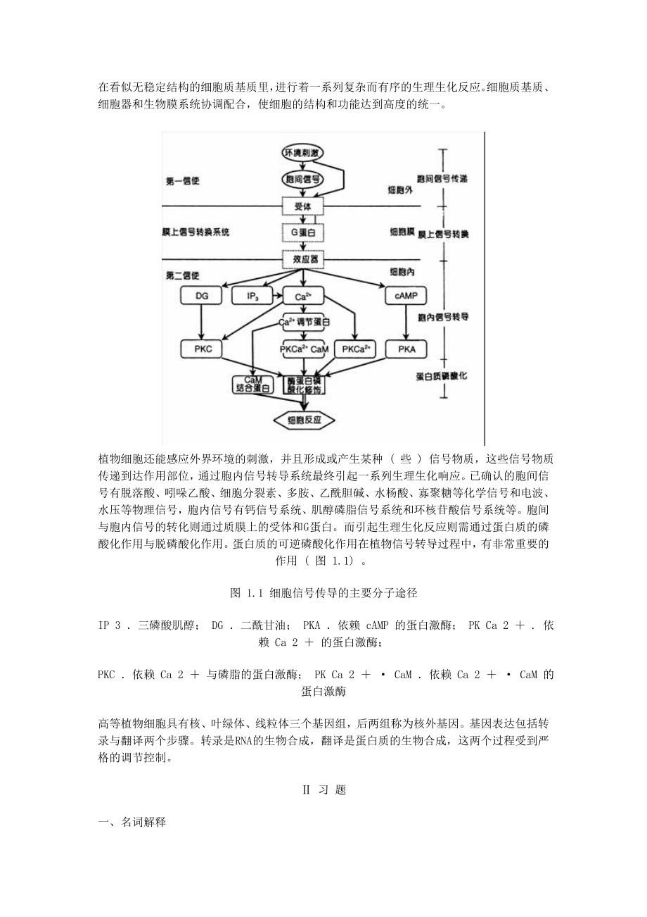 植物生理学习题集.doc_第2页