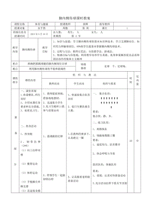 水平四足球脚内侧传球专用教案.doc