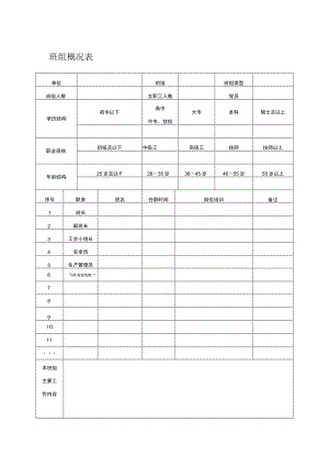 班组概况表.docx