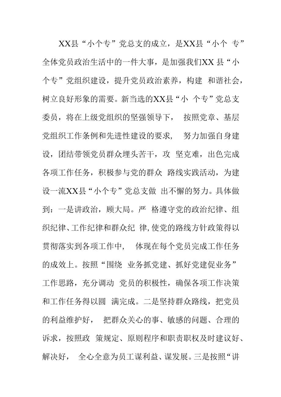 选举新任XX党总支书记表态发言.docx_第2页