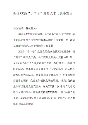 选举新任XX党总支书记表态发言.docx