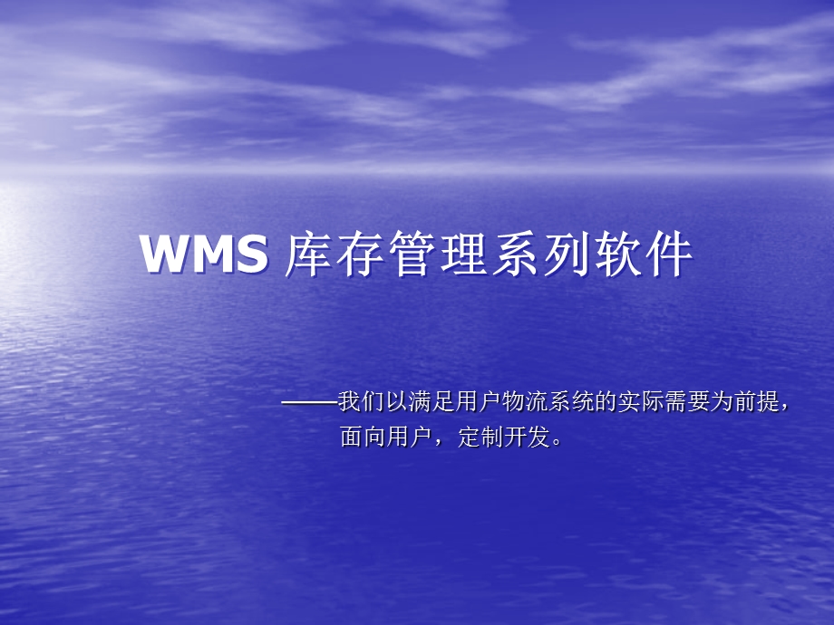 WMS+库存管理系统.pptx_第1页