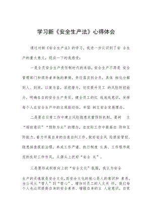 特高压人员学习新《安全生产法》心得十篇样本.docx