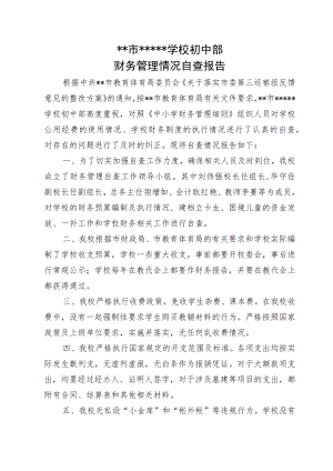 初中学校财务自查报告.docx