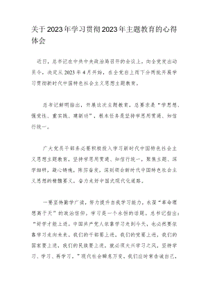 关于2023年学习贯彻2023年主题教育的心得体会.docx