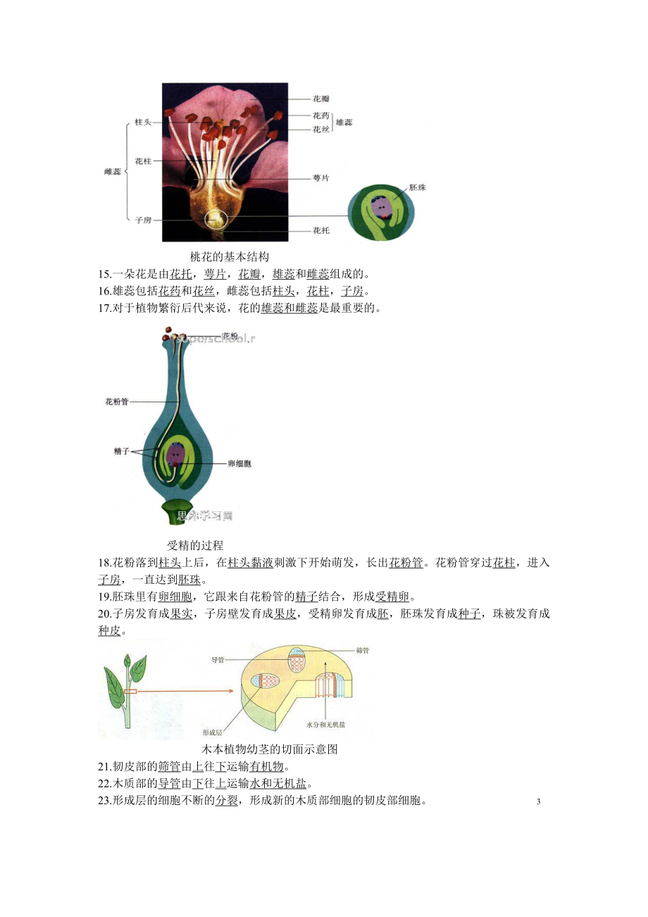 生地会考复习资料：初中生物图集(附题目)(人教版).doc_第3页