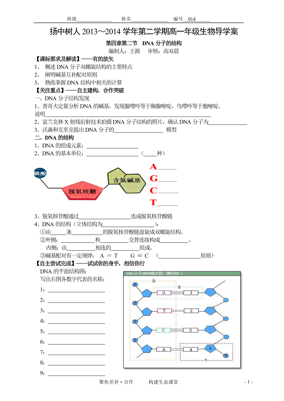 014DNA的结构.doc_第1页