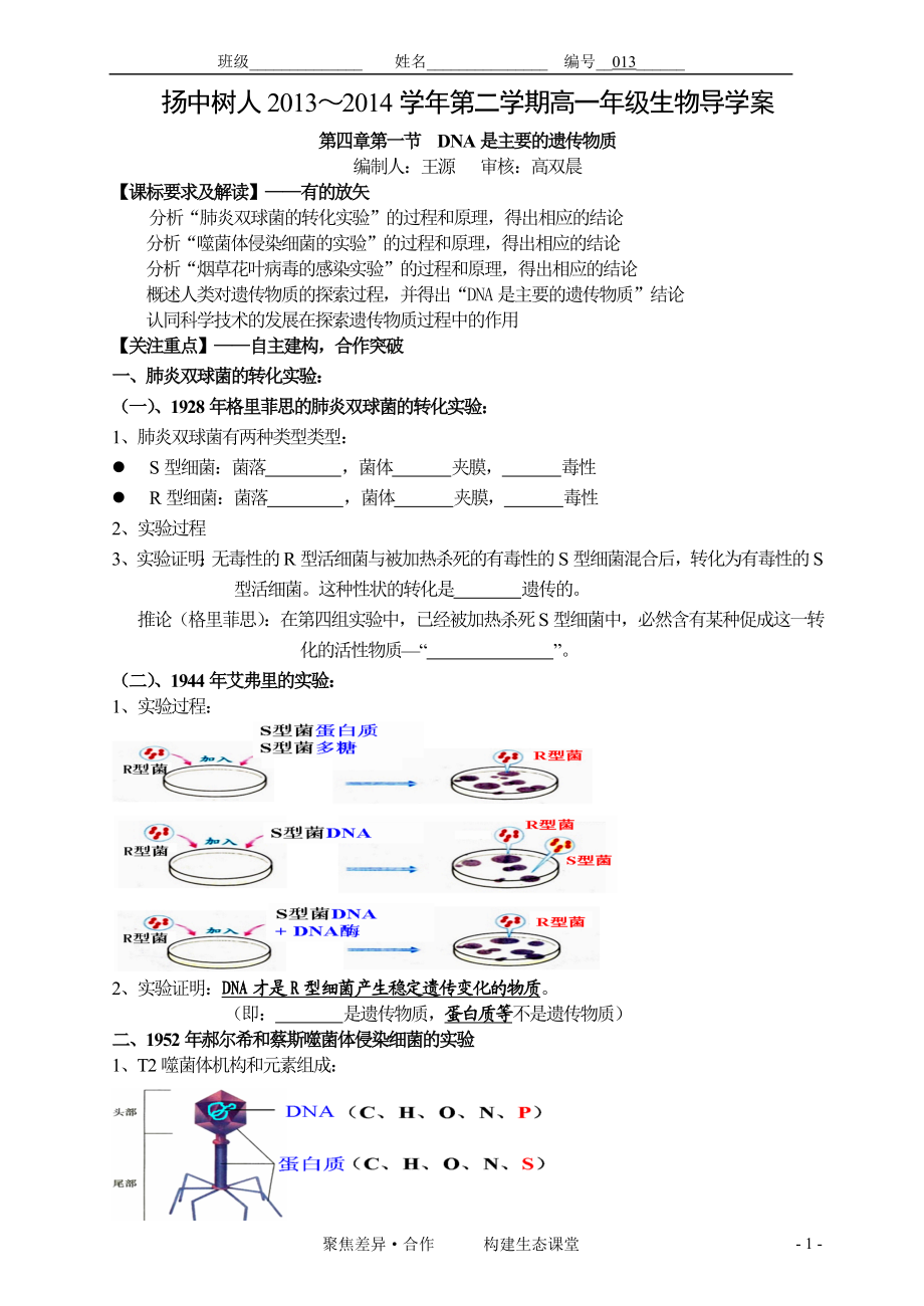 013探索遗传物质的过程.doc_第1页