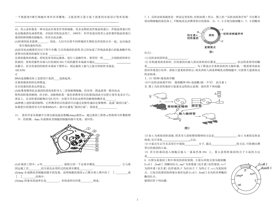 基因工程训练题.doc_第2页