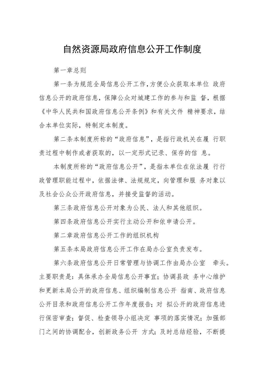 自然资源局政府信息公开工作制度.docx_第1页