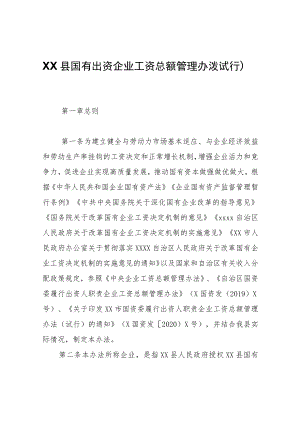 XX县国有出资企业工资总额管理办法（试行）.docx