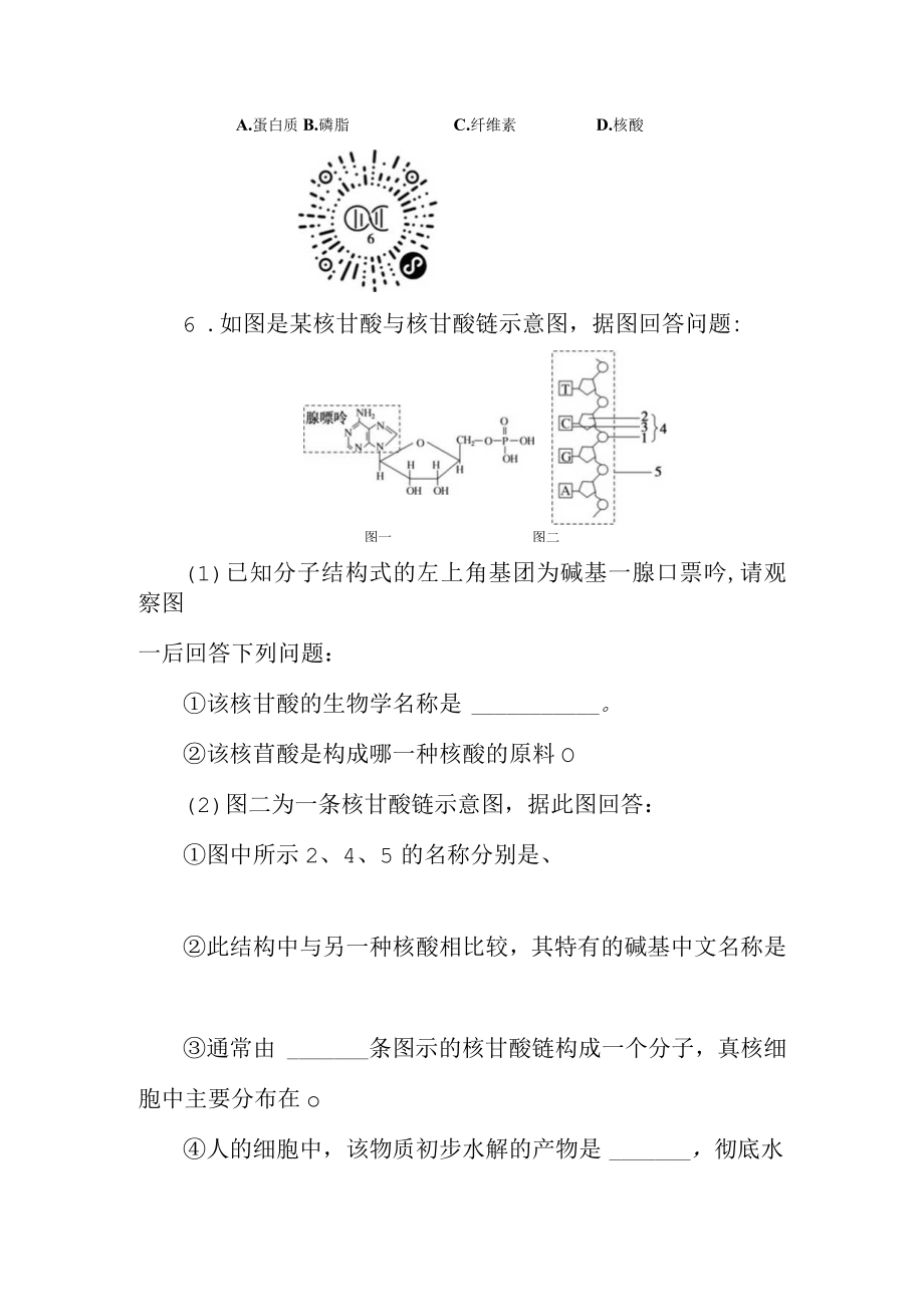 第2章组成细胞的分子.docx_第3页