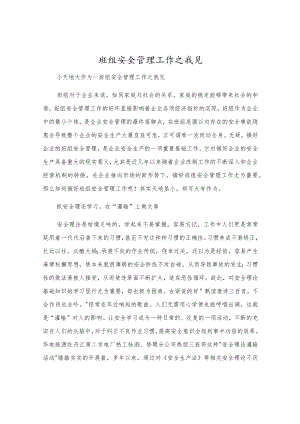 班组安全管理工作之我见.docx