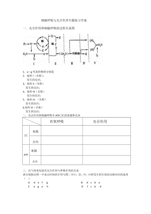 光合作用与细胞呼吸专题高三复习学案.docx