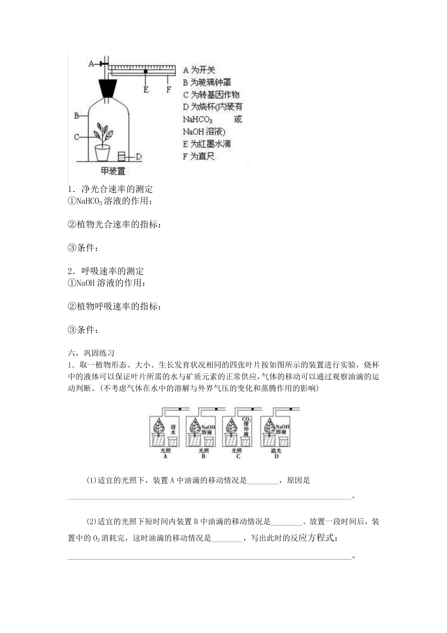 光合作用与细胞呼吸专题高三复习学案.docx_第3页