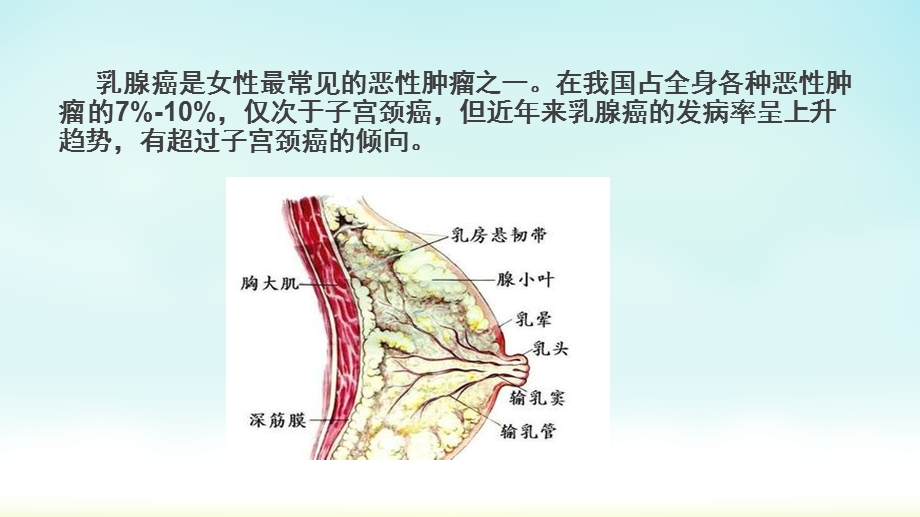 乳腺癌的病因和发病机制.pptx_第2页