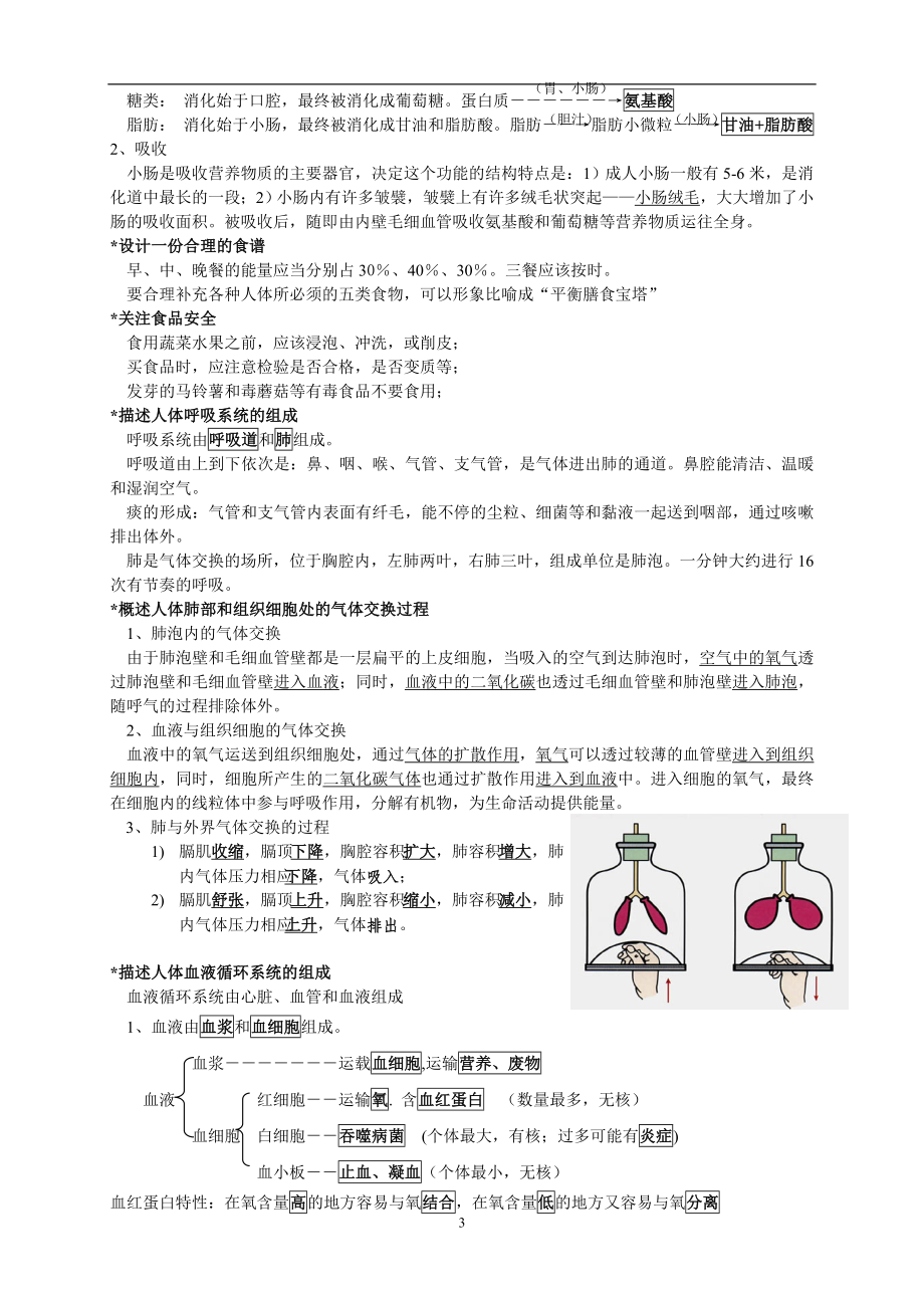 七年级下册生物复习资料(整理).doc_第3页