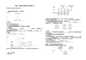 学案孟德尔的豌豆杂交实验（二）.doc