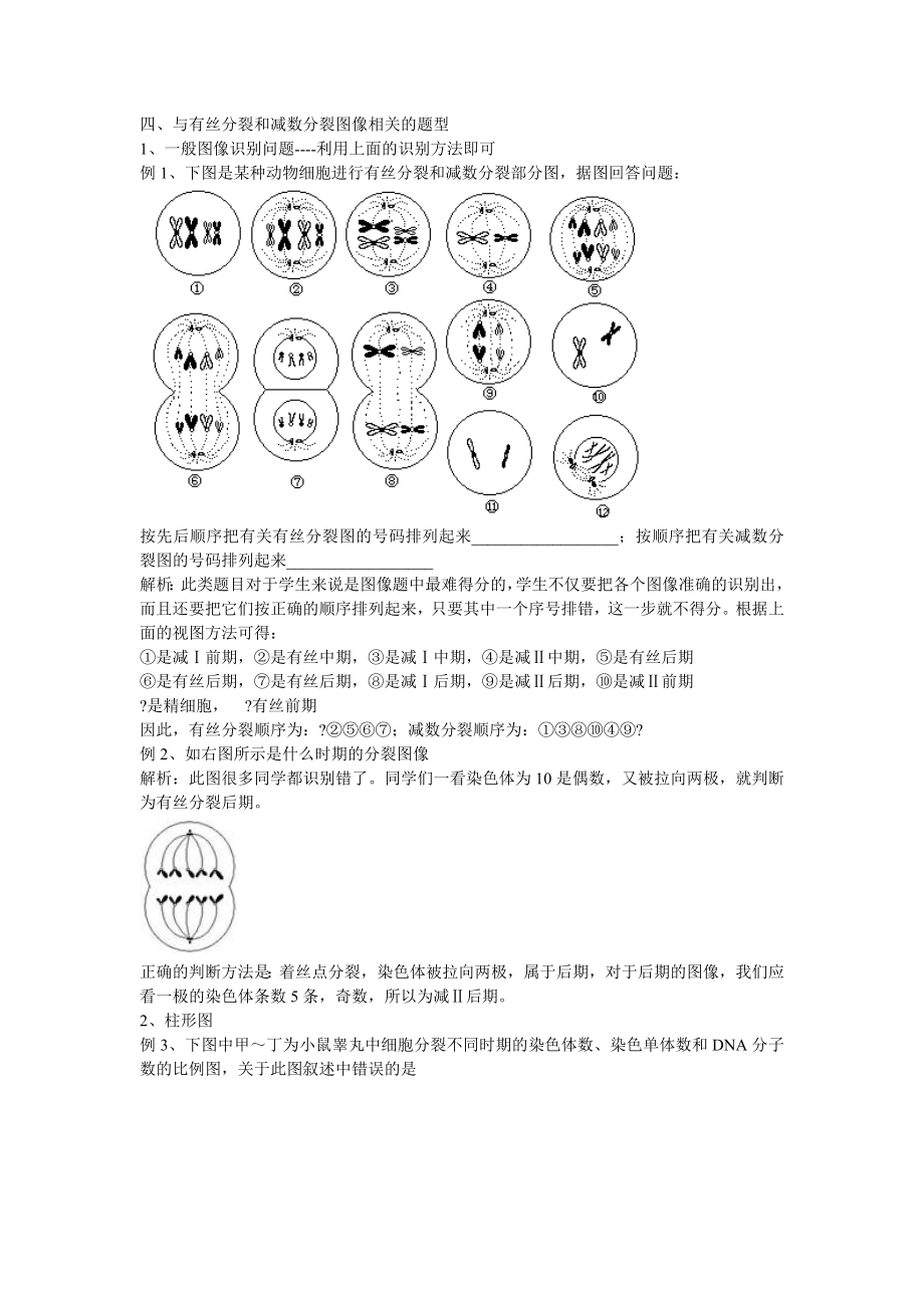 有丝分裂和减数分裂图像识别及有关题型的分析归类.doc_第3页