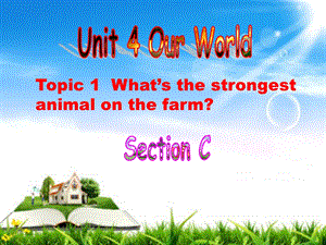 八上Unit4Topic1SectionC.ppt