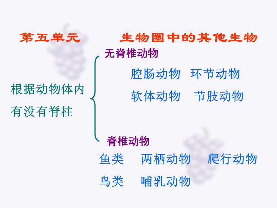 八年级生物上册总复习课件.ppt_第1页