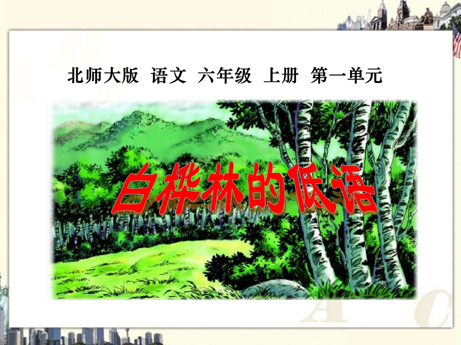 （北师大版）六年级语文上册课件白桦林的低语1.ppt_第1页