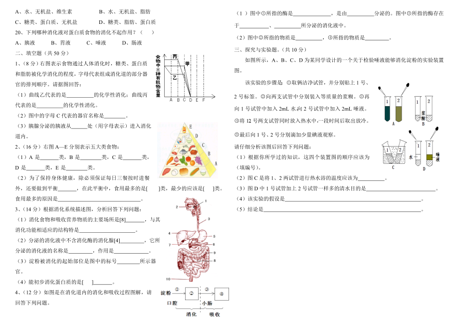 生物第四单元复习题.doc_第2页