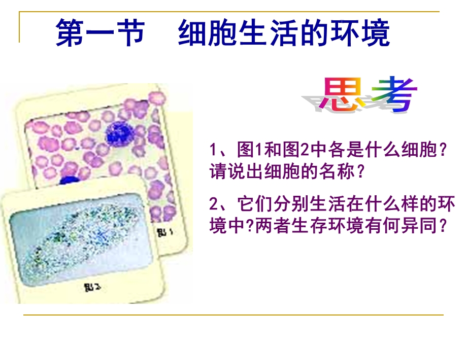 人教版必修3第一章第一节细胞生活的环境（共33张PPT）.ppt_第3页