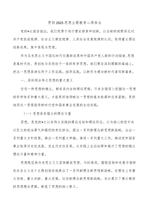 贯彻2023思想主题教育心得体会.docx