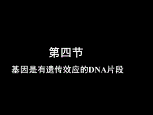 生物：34《基因是有遗传效应的DNA片段》修改版.ppt