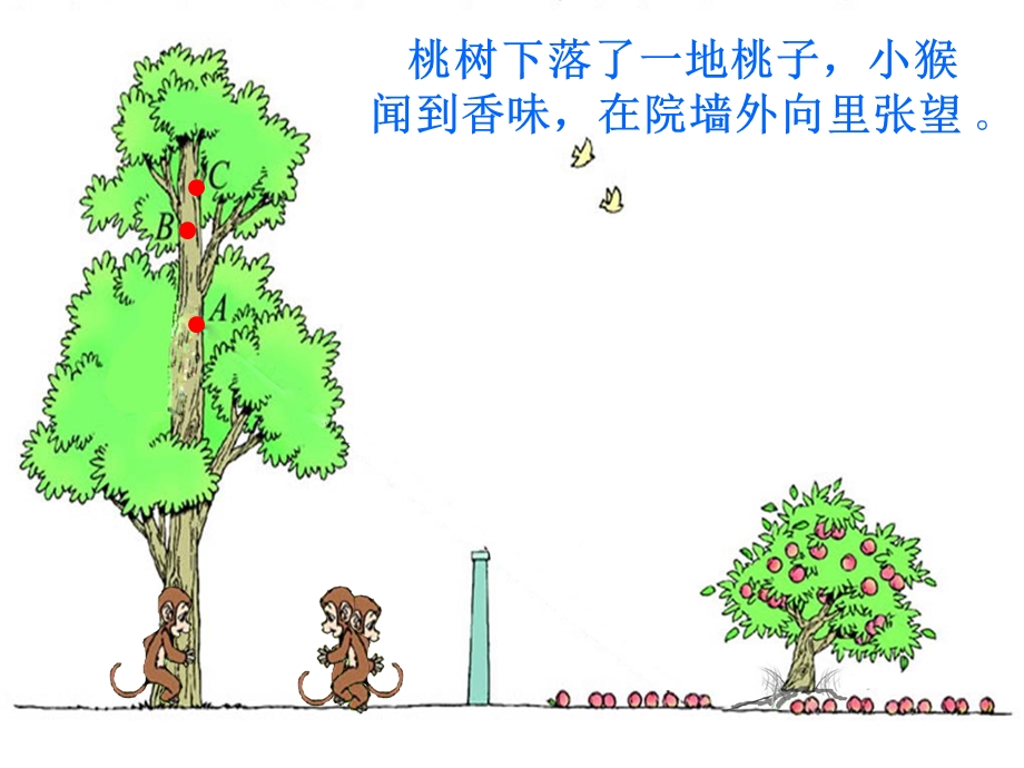 《观察的范围》课件.ppt_第2页