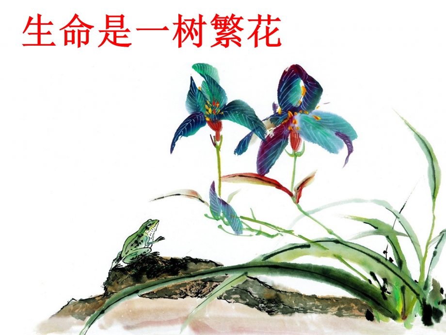 爸爸的花儿落了 (3).ppt_第3页