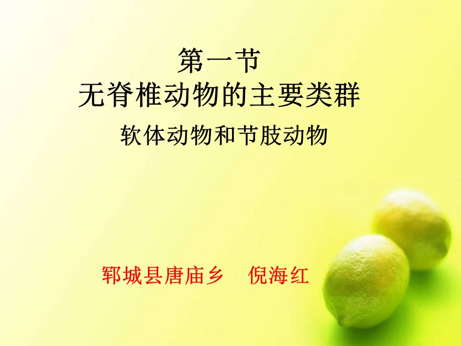 软体动物和节肢动物.ppt_第1页