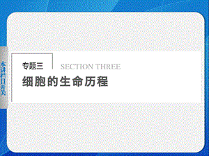 专题三、1细胞增殖与受精作用.ppt