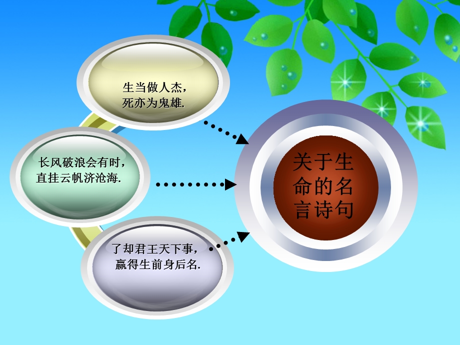 《谈生命》 (2).ppt_第3页