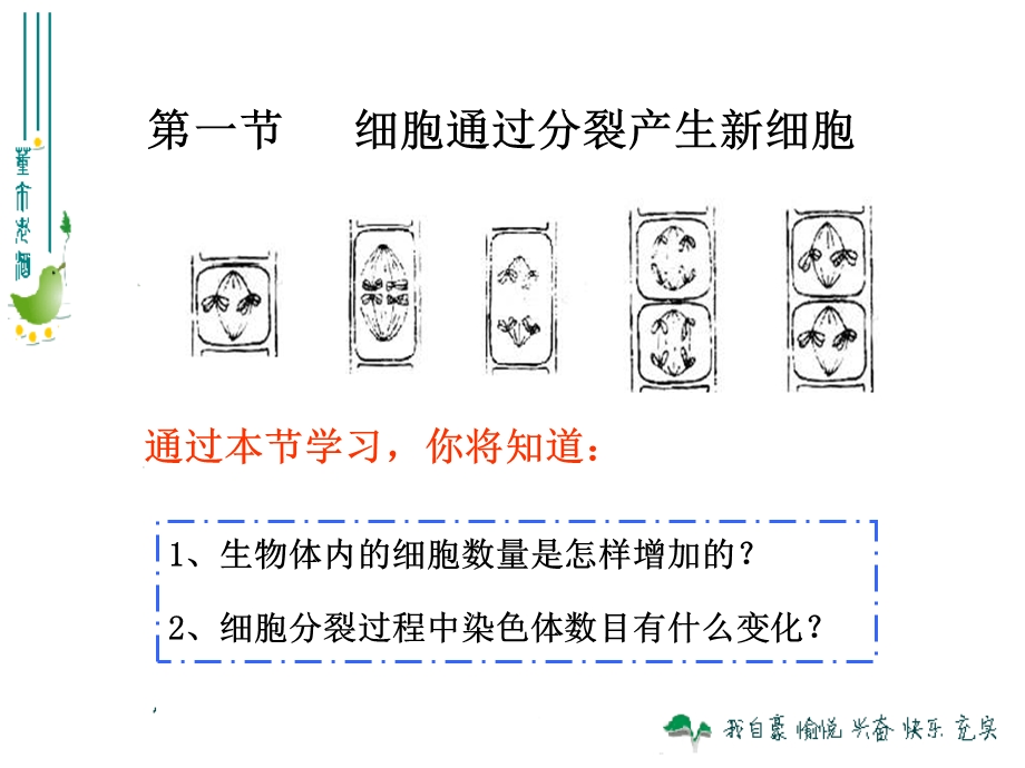 最新人教版221细胞通过分裂产生新细胞.ppt_第3页