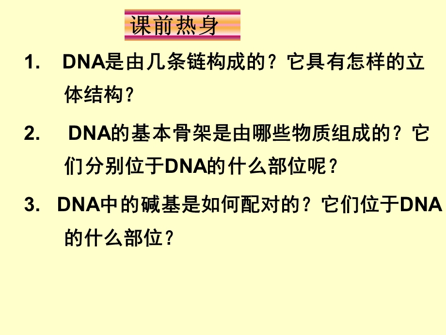 DNA的结构与复制.ppt_第2页