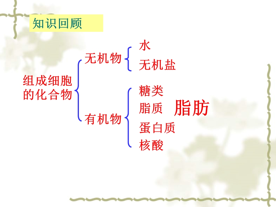 蛋白质还原糖脂肪的检测.ppt_第2页