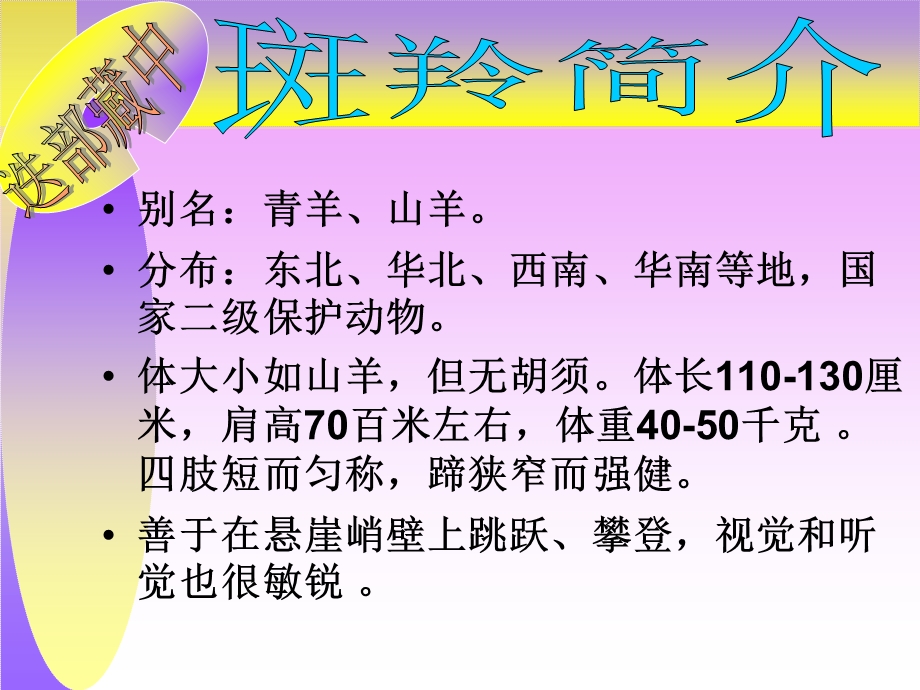 《斑羚飞渡》参考课件4.ppt_第2页