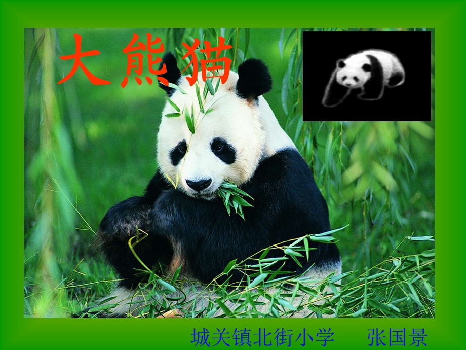 小学语文S版一年级下册《大熊猫》课件.ppt_第2页