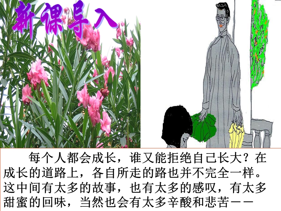 爸爸的花儿落了 (5).ppt_第3页